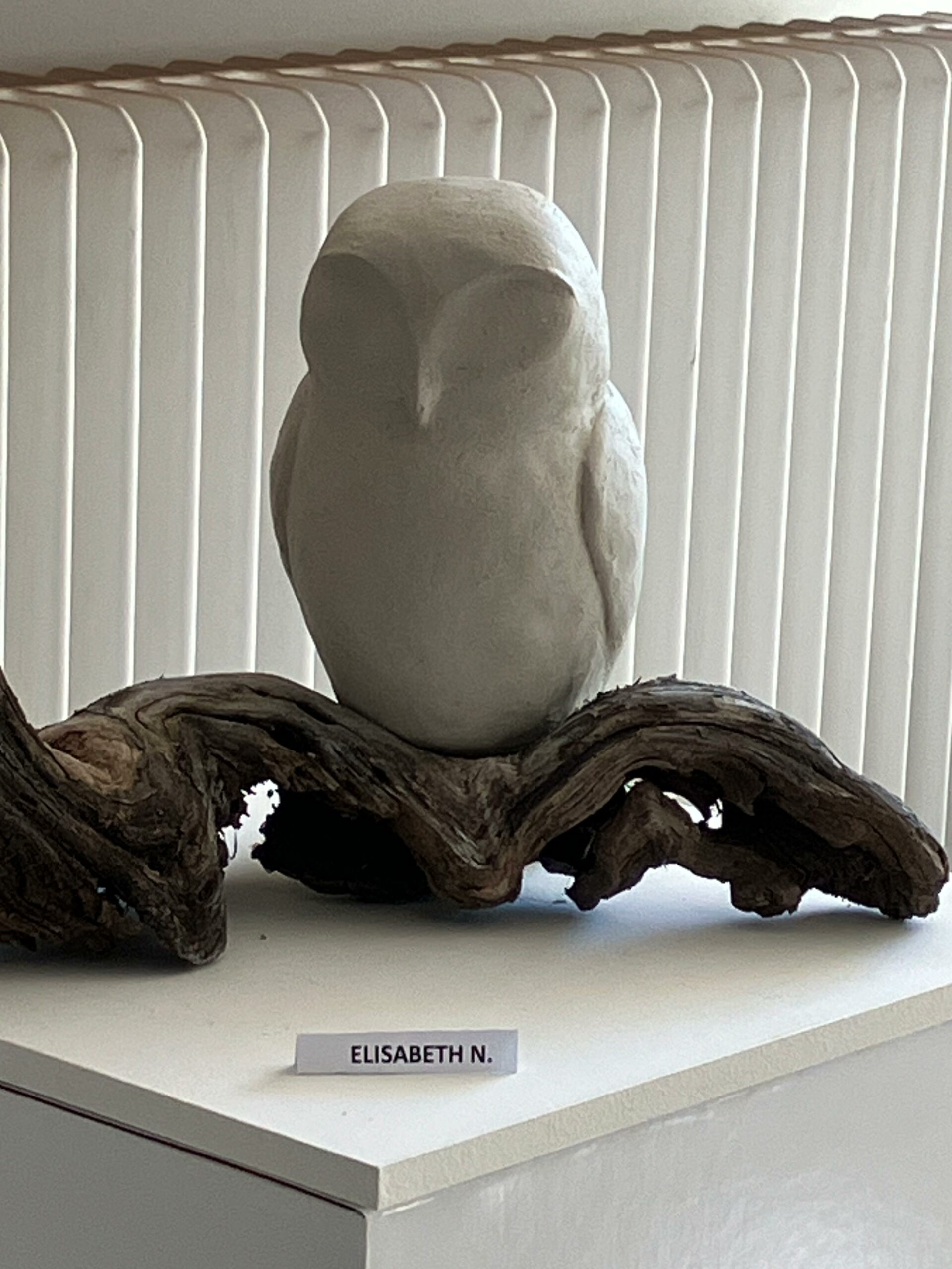 cours sculpture animalière
